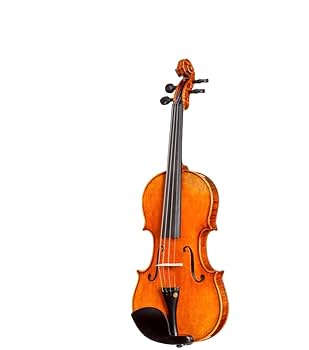 Amazon.com: D Z Strad 4/4 Full Size Violin Model 250 with