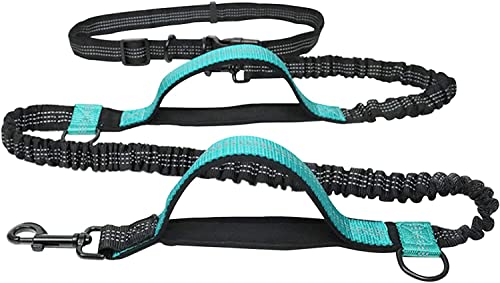 MSR Store (Upgrade Version) Hands Free Dog Leash, Hands Free Dog Lead for Walking, Jogging, Small to Large Dogs, Retractable, Dual handle, Shock Absorber with adjustable waist belt up to 48'', Blue