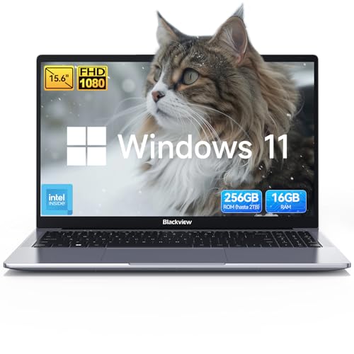 Blackview 15,6' Ordenadores portatiles, N150(Superior N95/N97) 3,6GHz, 16GB RAM 256GB SSD PC portatil, Pantalla FHD IPS, Filtro Luz Azul, 100W Type-C, HDMI 4K, Bluetooth, WiFi 5,QWERTY,Windows 11