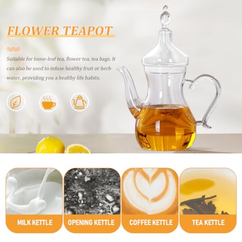 Cafetera tetera de vidrio resistente al calor para té de hojas sueltas y plantas 5