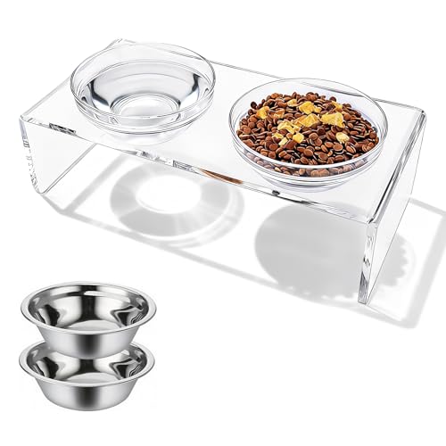 JIAOHENANZE Clear Acrylic Elevated Dog Cat Bowls with Stainless Steel Bowls