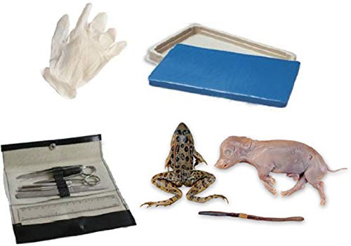 Student Dissection Kit (Frog, Worm, Pig)