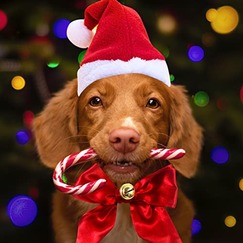 Hund Weihnachtsmütze, Weihnachtsmützen für Katzen, Haustier Weihnachten Kostüm Zubehör, Haustier Stirnband mit Haustier Krawatten und Glocken, Einstellbare Größe Haustier Hut für Katzen Hunde