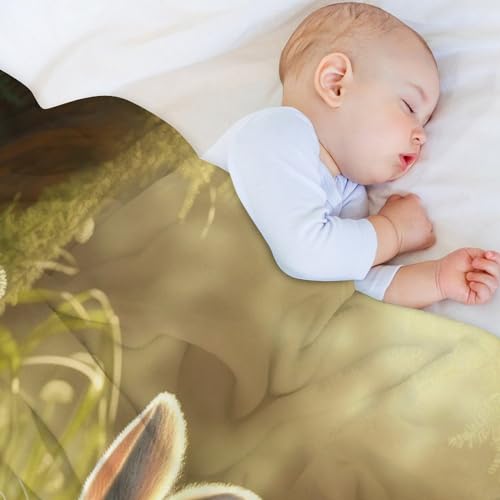 Couverture flanelle lapin de qualité supérieure pour lit et sofa douillet - 5