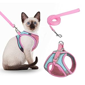 NiCoLa Harnais anti-fuite pour chat avec band...