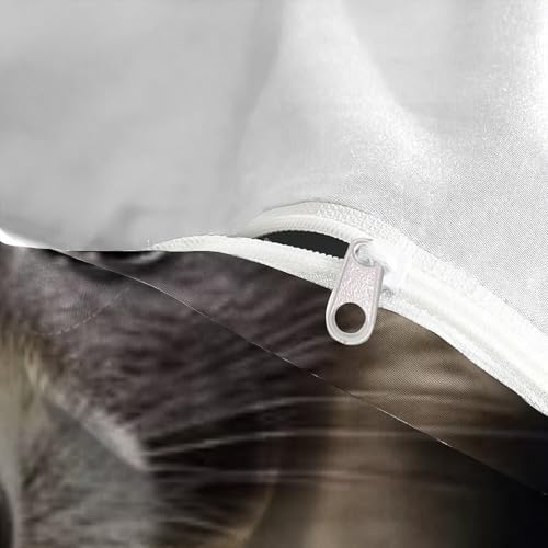 Housse de Couette King Raton Laveur avec 2 Taies d'Oreiller