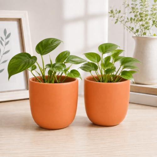 Image of ecofynd 5 Inch Ceramic Plant Pots with Drainage Hole, Modern Decorative Clay Flower Pots for Indoor Plants, Home Garden Decor for Living Room, Bedroom & Interior Spaces (Pack of 2, CPOT041-PEH)