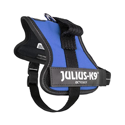 Julius-K9 Powerharness, Blue, Size Mini-Mini #TOP6