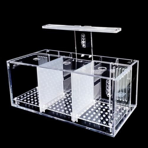 RUNCAN ANf ~jfXNgbv x^ {ELbg EH[^[|v LEDCgt ȏzԃ^N aC̋u (3Obh)