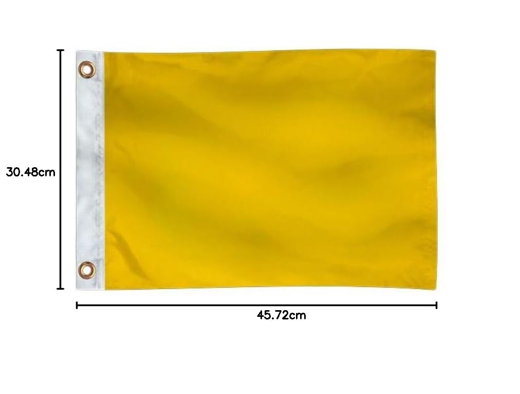 Taylor Made Products Banderas de Color sólido, Nailon, 30,5 x 45,7 cm