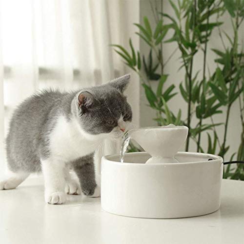 Fuente automática para gatos y perros en cerámica blanca