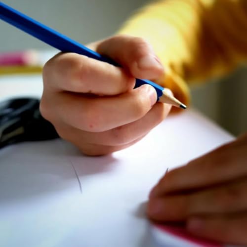 Calls for more federal funding for WA primary schools
