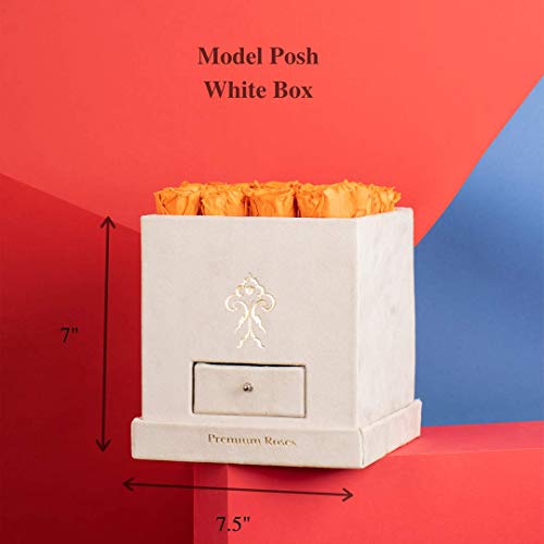 Premium Roses| Real Roses That Last a Year | Fresh Flowers| Roses in a Box (White Box, Medium)