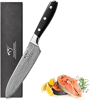 Damascus Chef Knife 7 Inch/17.78cm, Pro Grade 67 Layer VG10 Damascus Steel Japanese Knife Ultra Sharp Kitchen Knife, Santoku Knife with Gorgeous Gift Box, for Chopping, Slicing, Mincing and Dicing