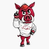 UofA Razorback with Sweater Sticker Bumper Sticker Vinyl Decal 5"