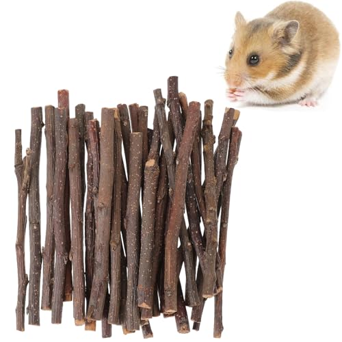 Juguetes Masticar para Hámster,Palos Masticables Madera Manzana,Animales Pequeños Juguetes para Masticar,Juguetes Molares Naturales,Rama Manzana Molar,Juguetes para Conejos Conejos Hámster (350g)