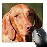 3dRose Mouse Pad Funny Portrait of Vizsla Dog Friend Pet - 8 by 8-Inches (mp_296577_1)
