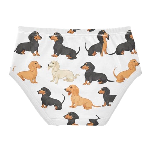ZZKKO Dachshund Dogs Girls Underwear Toddler Panties for Girls Comfort Brief Size 2-8T2