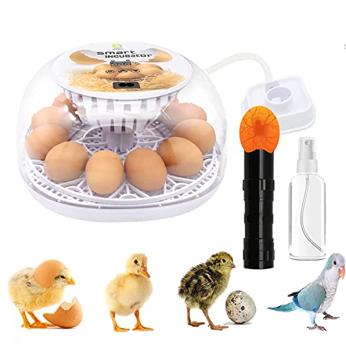 MQUPIN Couveuse Oeuf Automatique 12-24 Oeufs, Retournement automatique, Testeur d'oeufs, Couveuses pour œufs de volailles, Machine d'Incubation pour l'Éclosion