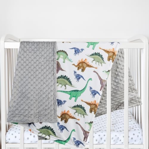 New Born Baby Boy Blanket Double Layer Fuzzy Nursery Toddler Blankets Soft Minky Daycare Baby Boys Blanket with Dotted Backing for Baby Shower Birthday Gift 30 x 40 Inch (Dinosaur, 1) - Thumbnail 6