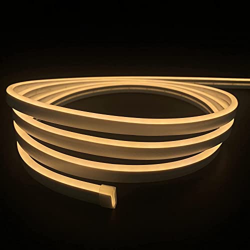 Neon LED Streifen, 5M 12V LED Strip Warmweiß, Wasserdicht Silikon LED Lichtband, 2835 120leds Flex LED Schlauch für Heim DIY Festival Dekoration(KEIN Netzteil im Lieferumfang enthalten) Cover