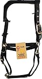Hamilton 1-Inch Nylon Halter with Adjustable Chin, Black - Draft Horse Size