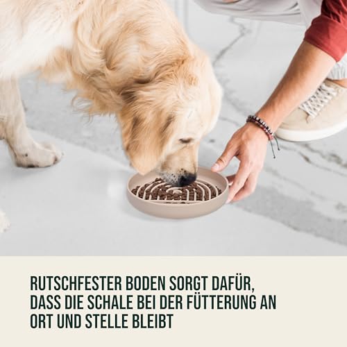 Happilax Antischlingnapf für Hunde – Silikon-Futternapf für langsames Fressen – Fördert Verdauung & mentale Stimulation – Sicher & leicht zu reinigen – 25x4x18 cm, Beige
