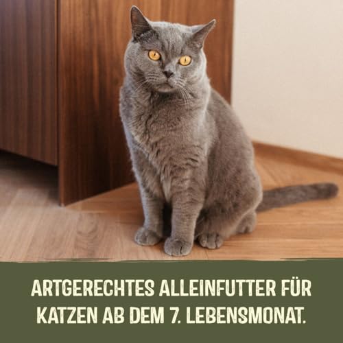 GimCat Near Nature Probier-Mix 12er - Getreidefreies Nassfutter für Katzen ab dem 7. Monat mit artgerechter und beutenaher Rezeptur - 12 Beutel (12 x 85 g)