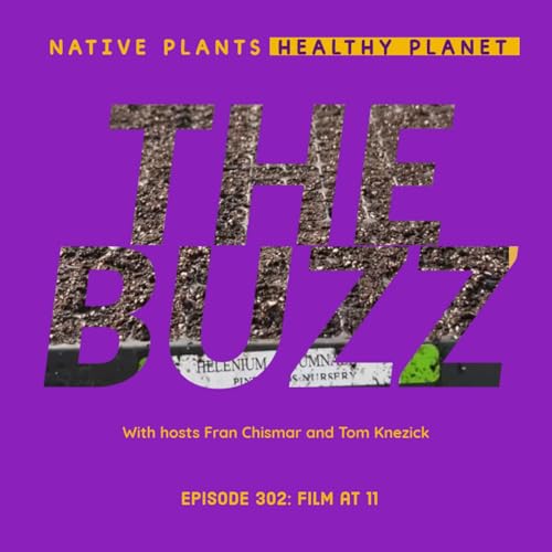 The Buzz - Film at 11