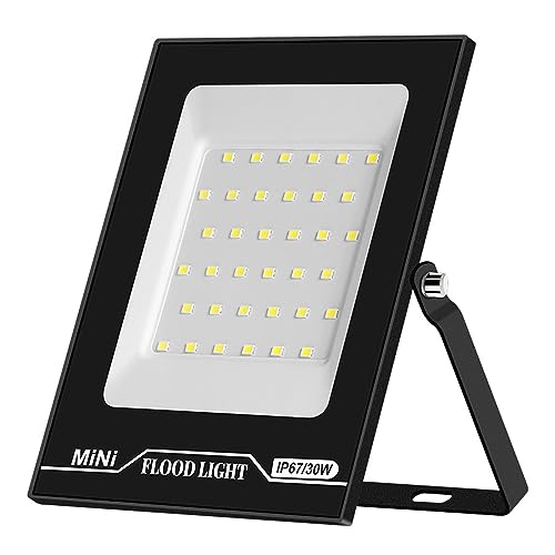Projecteur LED extérieur étanche 30W avec capteur de mouvement pour jardin et terrasse