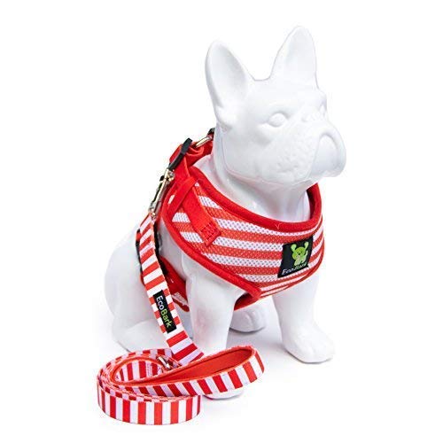 EcoBark Dog Harness and Matching Leash Combo Set; Soft Double Padded, Fully Adjustable Neck and Tummy for Small and Medium Dogs (XS, Stripe)