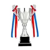 TROMEDENWS Gold Silver Bronze Trophy Award Cup Metal Trophy Cup for Soccer Basketball Sports Competitions Championships Award Ceremony Celebration Party Gift (Silvery, 9.5 x 5.5in)