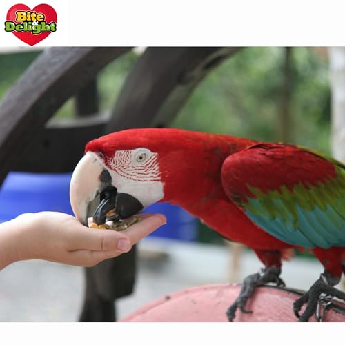 Bite & Delight 10kg Papageienfutter Großsittichfutter Futter for Grosse Papageien für Aras Amazonen Graupapageien Kakadus Vitaminreich Vogelfutter