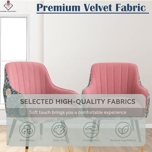 Image of Set of 2 Accent Chair for Living Room | Modern Armchair in Soft Velvet Fabric with Sturdy Legs | Premium Chair for Home Living Room Bedroom Restaurent | (Dual Fabric, Pink)