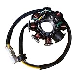 Stator Magnete - Präzises Langlebiges Ersatzteil - Motorrad Zündspule - Für Motorradfahrer Motorenreparaturen Sportbegeisterte Regelmäßige Wartung