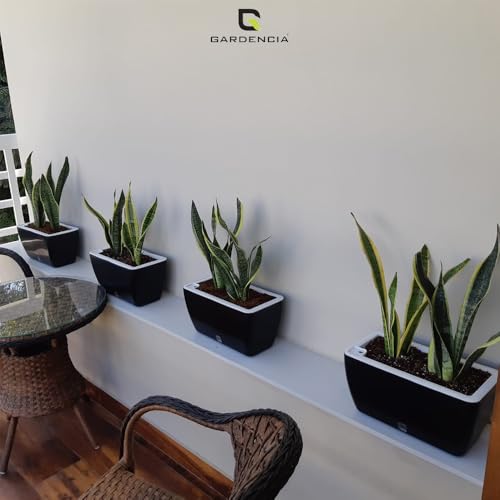Image of GARDENCIA Self Watering Flower Pots for Outdoor Indoor Gardening /Rectangle Big Plant Pot with Polypropylene UV Material /Decorative Modern Gamla (Pack of 2, Recta Big Black)