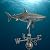 Good Directions 965GRY Shark Weathervane, Pure Copper Hand Finished Grey Patina