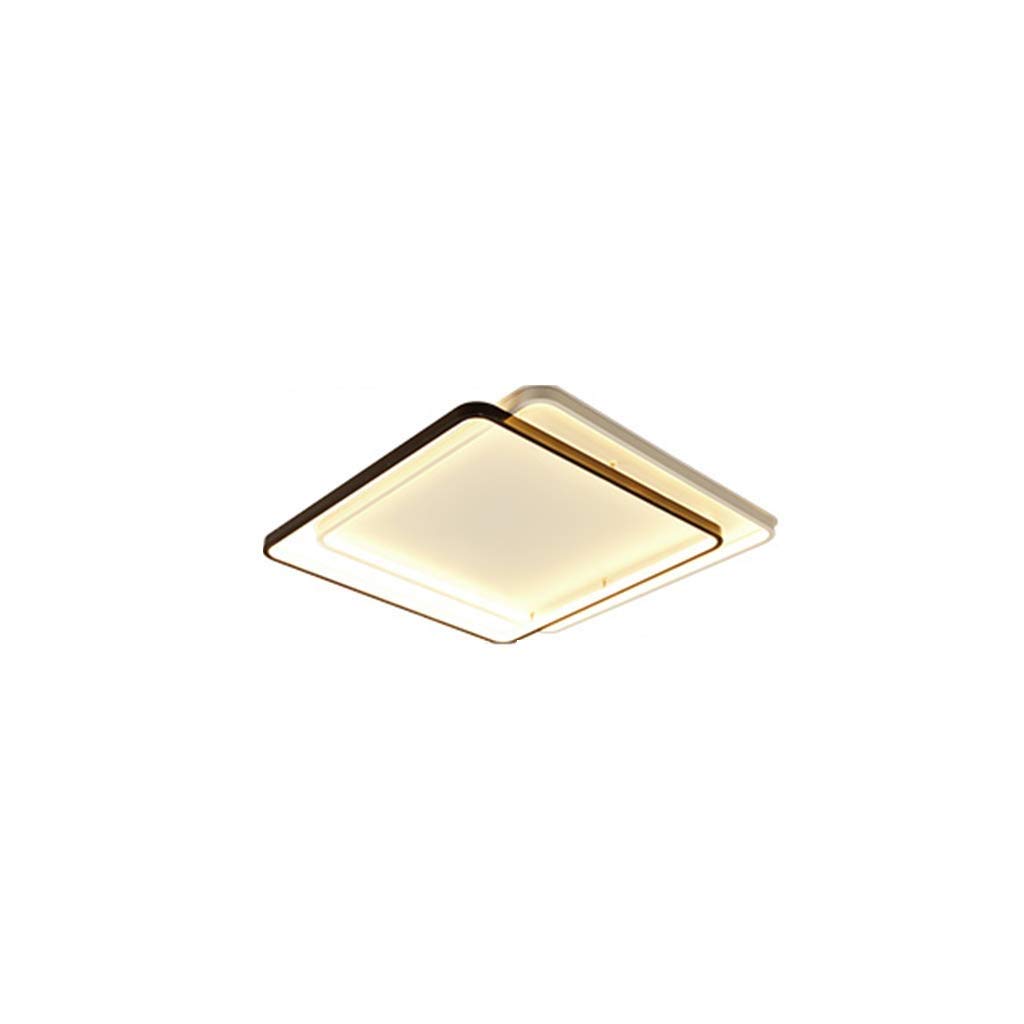 AMAZWI Lamp Ceiling Light Close to Ceiling Lights Acrylic Ceiling Chandelier Lighting Fixture Flush Mount Ceiling Lighting Modern