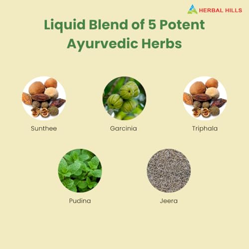 Image of Herbal Hills Detoxhills Herbal Shots, 500 ML, | Supports Daily Detox & Liver Cleanse Ayurvedic Herbal Juice For Digestion, Gut Health & Toxin Removal | With Triphala, Aloe Vera & Wheatgrass