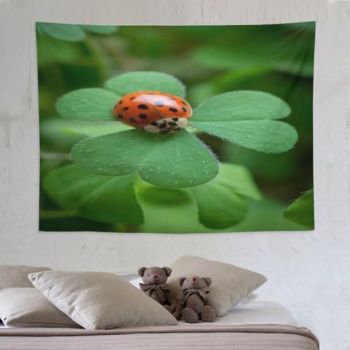 Tenture coccinelle pour habiller un mur vide sans faire de trou