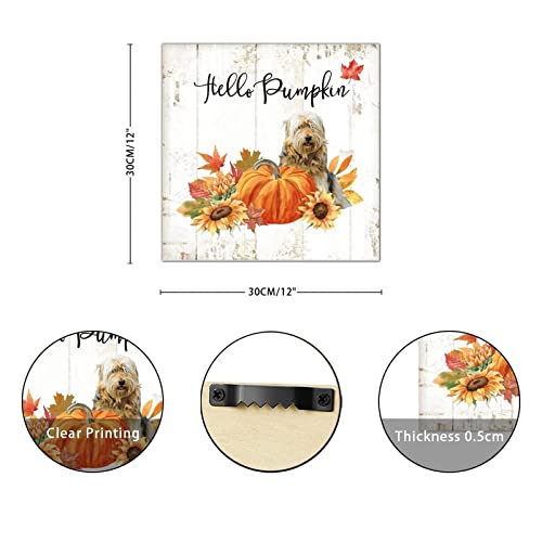 Plaque en bois Hello Pumpkin Basset Dog idée cadeau originale déco
