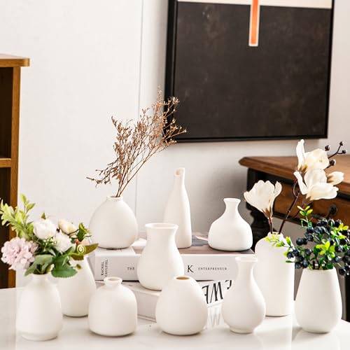 Kendiis Ceramic Bud Vases, White Mini Vase Set of 11,