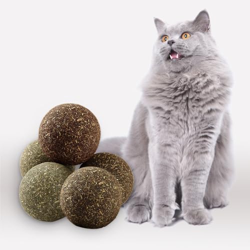 Eaireys Natural Catnip Toys for Indoor Cats Interactive Cat Nip Balls, 5Pcs, 2 Catnip, 2 Silvervine, and 1 Gall Fruit Ball