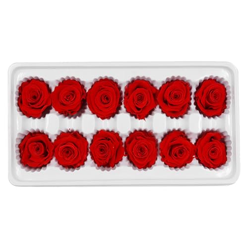 GALPADA 12 Rosas Preservadas Rojas 3-4 Cm, Ramo DIY para San Valentín, Decoración de Bodas, Flor Conservada, Accesorio Floral para Obsequio y Manualidades, Caja 12 Piezas