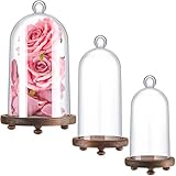 Teenyyou 3 Pcs Plastic Cloche Dome with Wooden Base, Clear Bell Shape Dome 9'/7.9'/6.5' Cloche Dome for Display Various Antique Collectibles Plants Specimens Women Decorations Accessories (Large)
