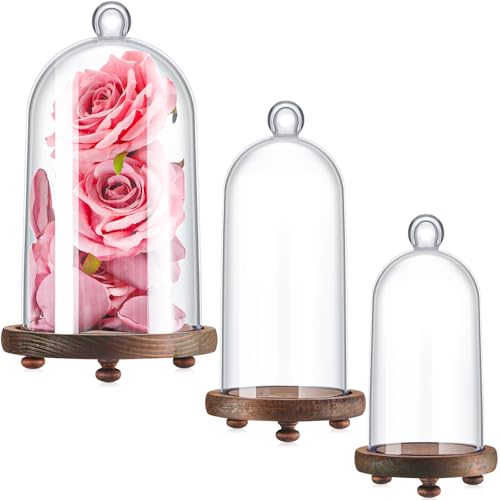 Teenyyou Plastic Cloche Dome Set