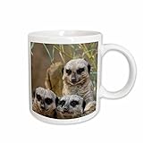 3dRose Meerkats, Louisville Zoo, Louisville, Kentucky - US18 AJE0297 - Adam Jones 15oz Mug