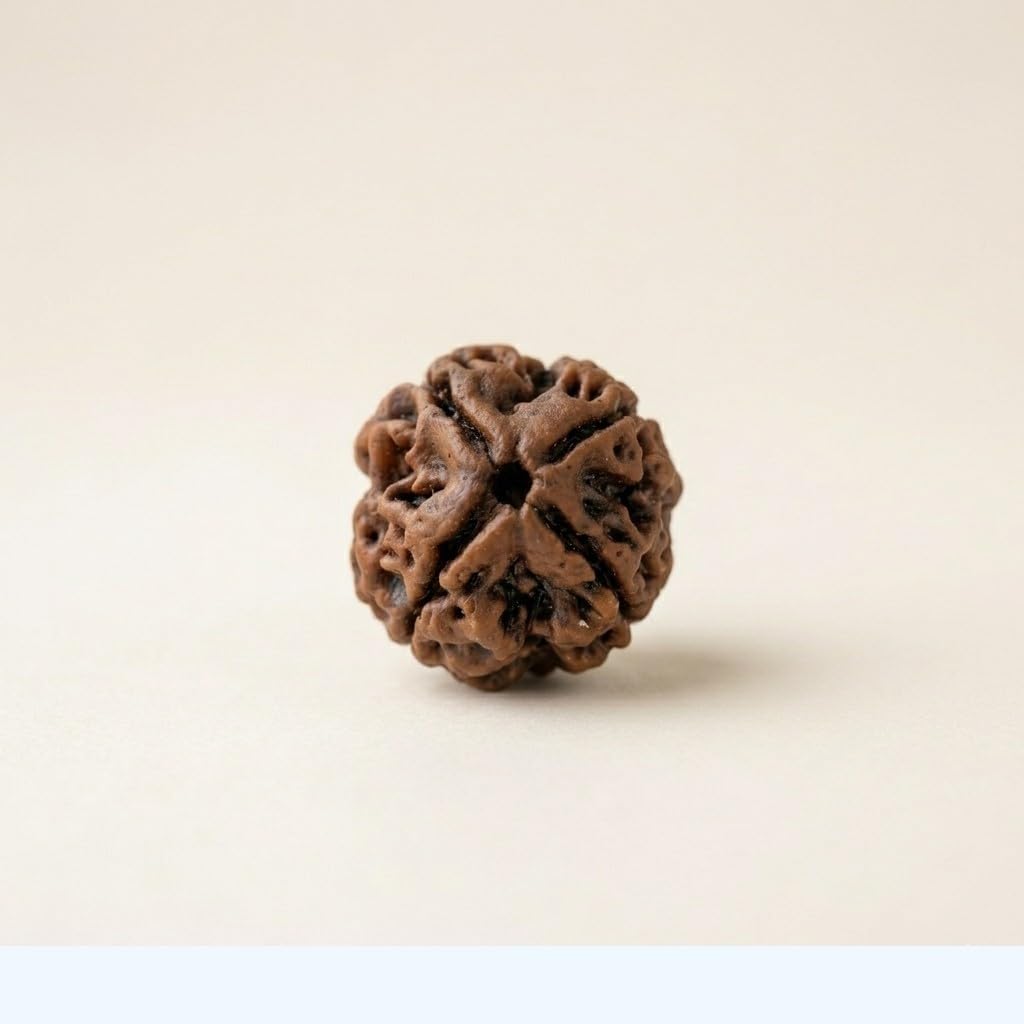 The Himalayan River 4 mukhi rudraksha / 4 Mukhi Rudraksh / 4 mukhi rudraksha Original / 4 Faced Rudraksha / 4 मुखी रुद्राक्ष / 4 Mukhi Nepali Rudraksha With Ganga Jal From Haridwar And Free Book On Rudraksha-image-10