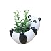 Cuteforyou Cute Animal Shaped Cartoon Home Decoration Succulent Vase Flower Pots