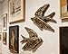 AMOIENSIS Bird Wall Sculpture Art, (Set of 2) 4¾ inch Resin Antique Gold Bird 3D Sculpted Floating Hanging Wall Sculpture Decoration